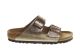 Birkenstock Arizona Graceful Taupe