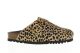Fae Leopard Scholl