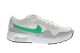 Lichtgrijze Nike Sneaker Air Max