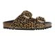 Noelle Leopard Scholl