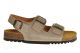 Scholl Henri Sandalen Dark Beige